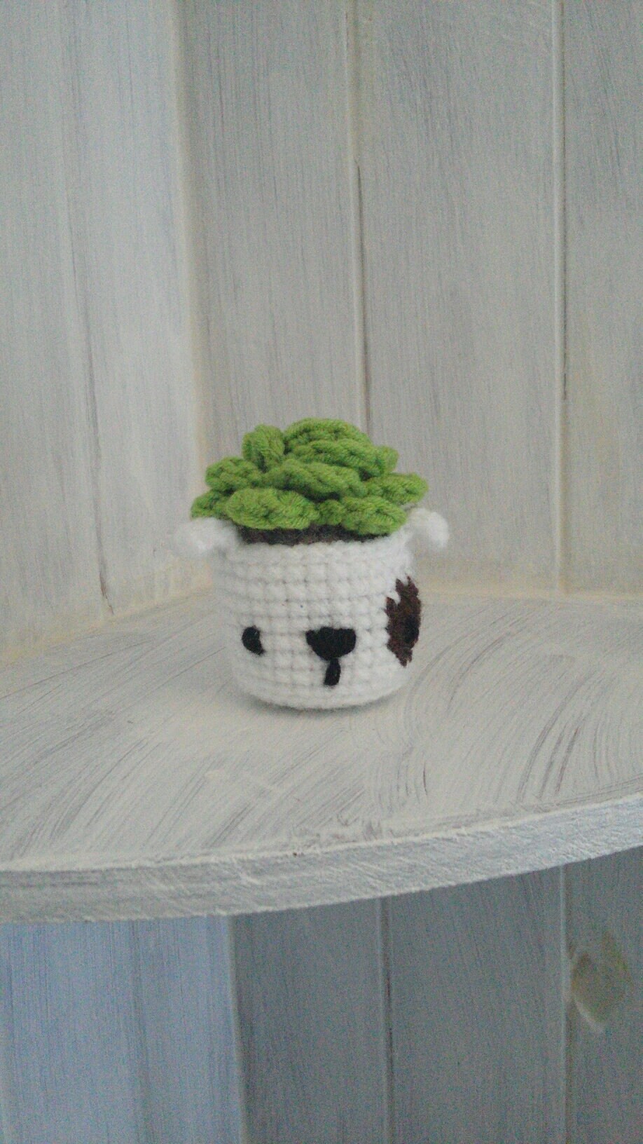 Pot de Cactus Chiot, Décoration Mignonne, Usine Crochet, Déco à La Maison, Kawaii