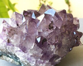 Amethyst • Kristalldrusenstück • A-Qualität • 364g