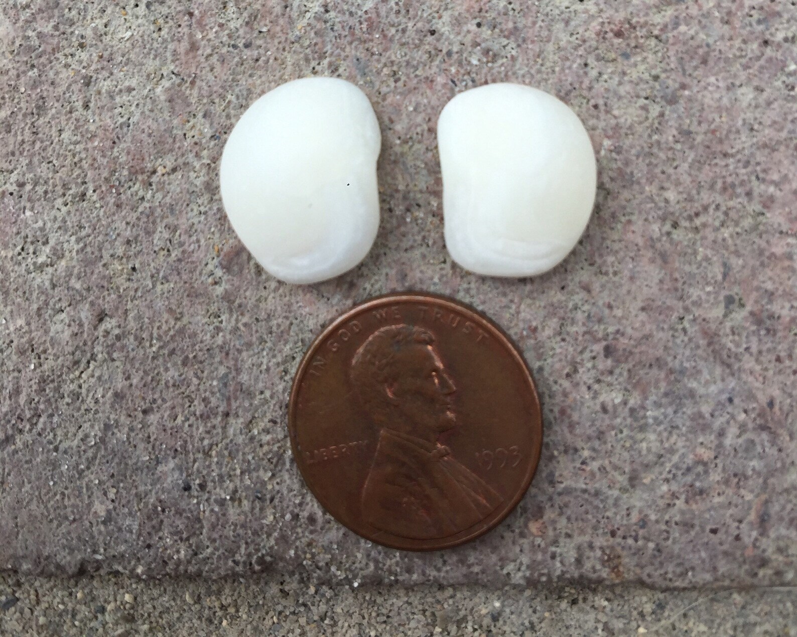 Otoliths Lucky Stones Drum Fish Sheepshead Bone Lake Erie 2 Etsy