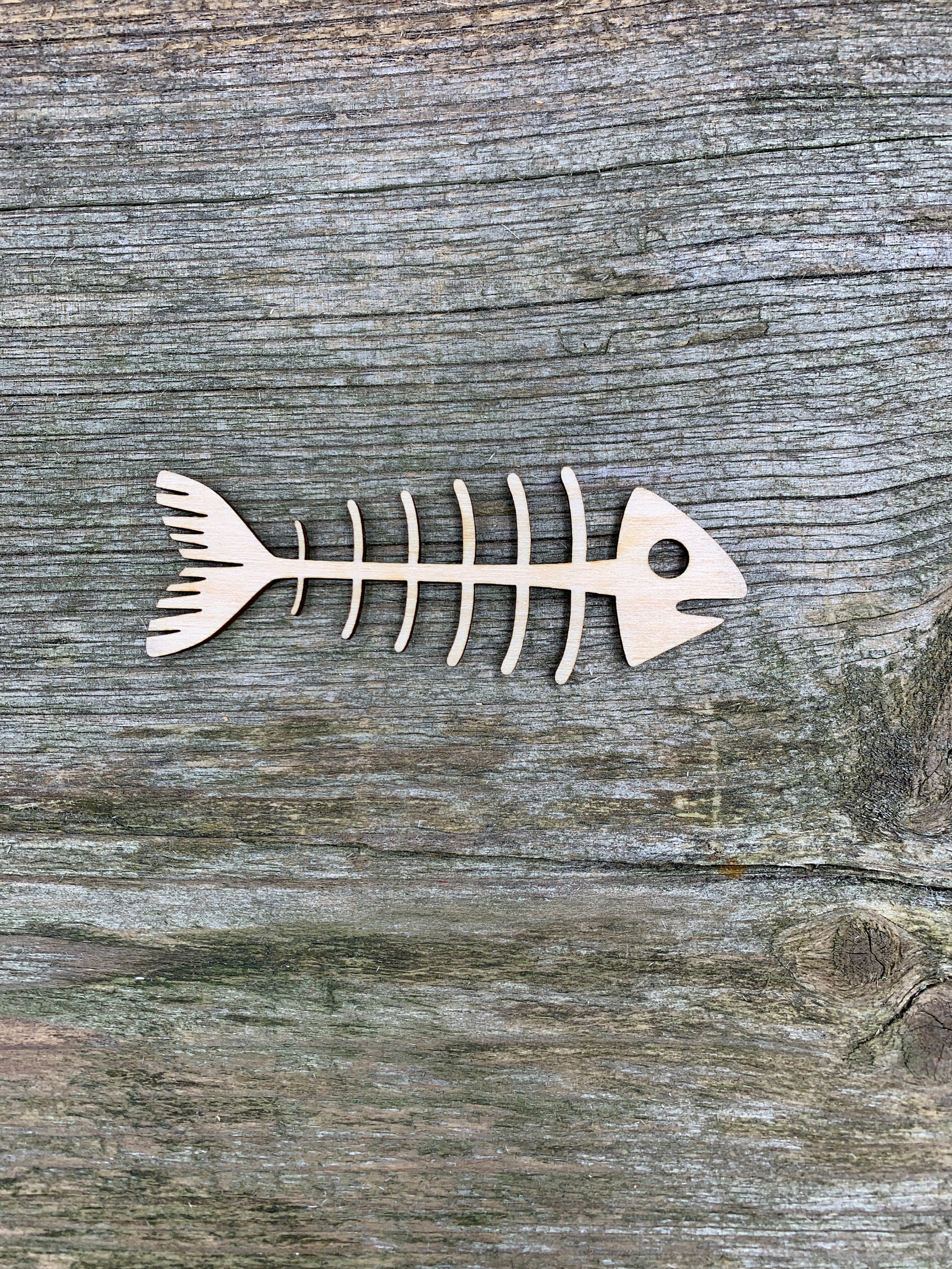 Wooden Fish, Fish Bones, Fish Skeleton, Various Sizes, for Crafts ,  Decoration, Natural Wood 