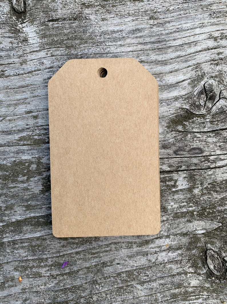 Pode incluir: Uma etiqueta de presente de papel castanho em branco com um furo perfurado no topo.