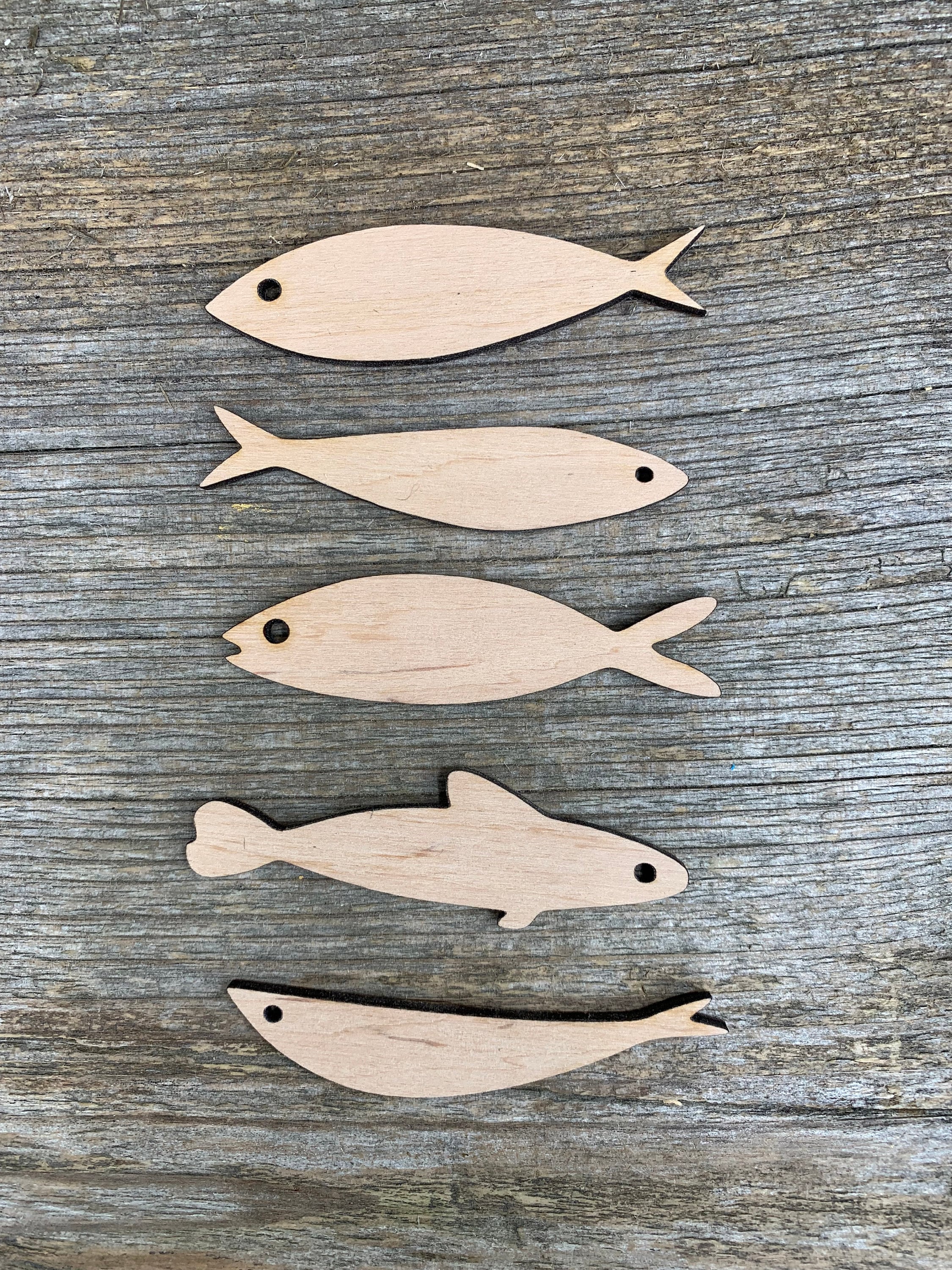 Birch Plywood Fish Shapes: Laser Cut Craft Embellishments - Etsy