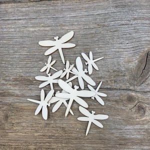 Bulk order, mini wooden  dragonfly, 2cm - 4 cm unpainted, gift decoration, natural wood, decoupage