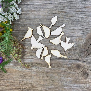 Großbestellung, Mini Vögel, 2 cm - 4 cm groß, unbemalt, Geschenkdekoration, Decoupage, Gastgeschenke