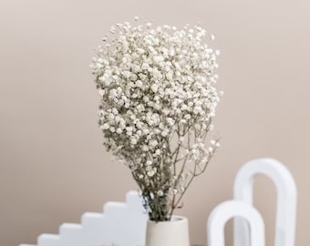 Preserved White Dried Gypsophila - Baby's Breath Flowers