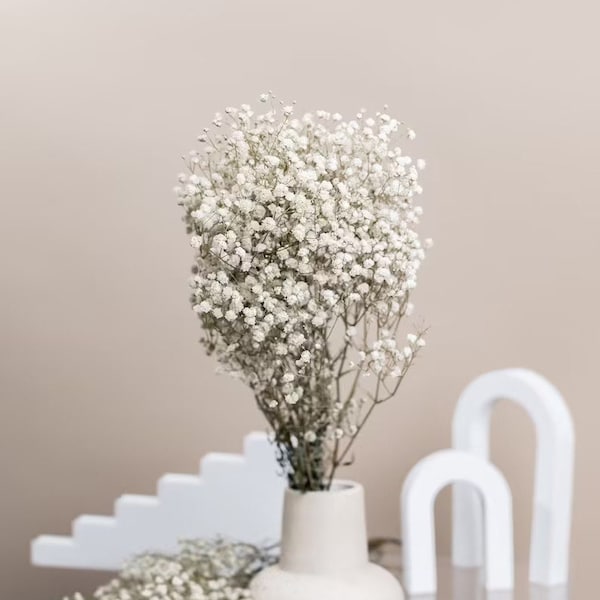 Preserved White Dried Gypsophila - Baby's Breath Flowers