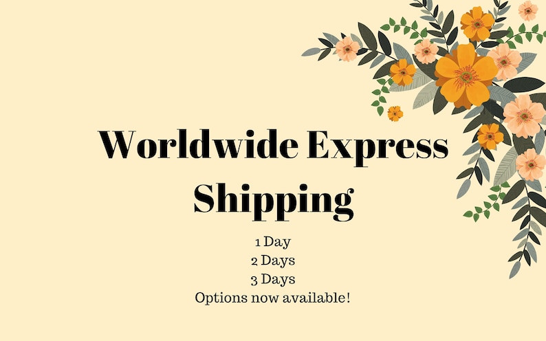 Worldwide express delivery option 2-3 business days delivery image 1