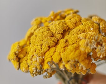 Dried yarrow flowers - achillea parker dried flowers all natural yellow 65-70 gram