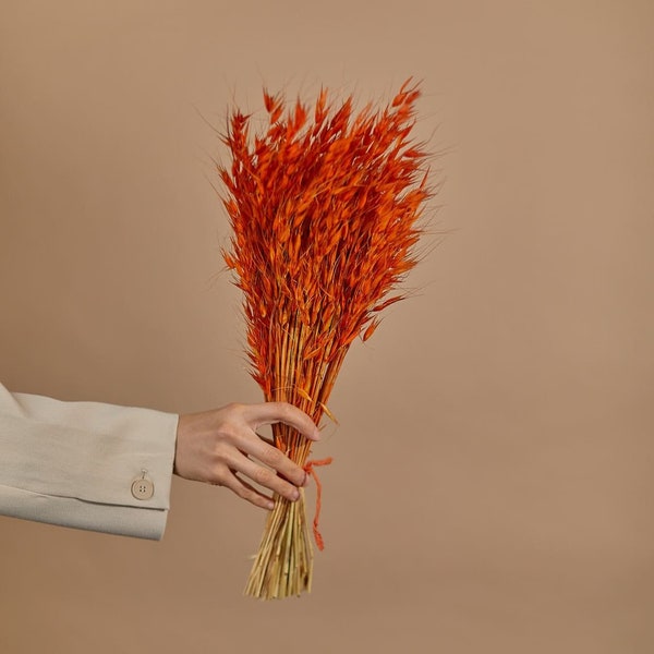 Dried Flowers Bulk Etsy