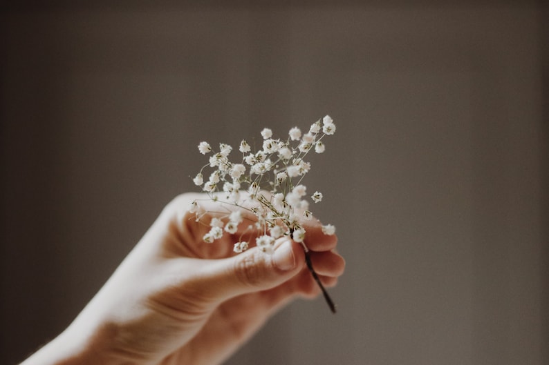 Épingle à cheveux gypsophile, épingle à cheveux de mariée à souffle de bébé blanc, vraies fleurs séchées, mariages en forêt, épingle à cheveux rustique, image 1