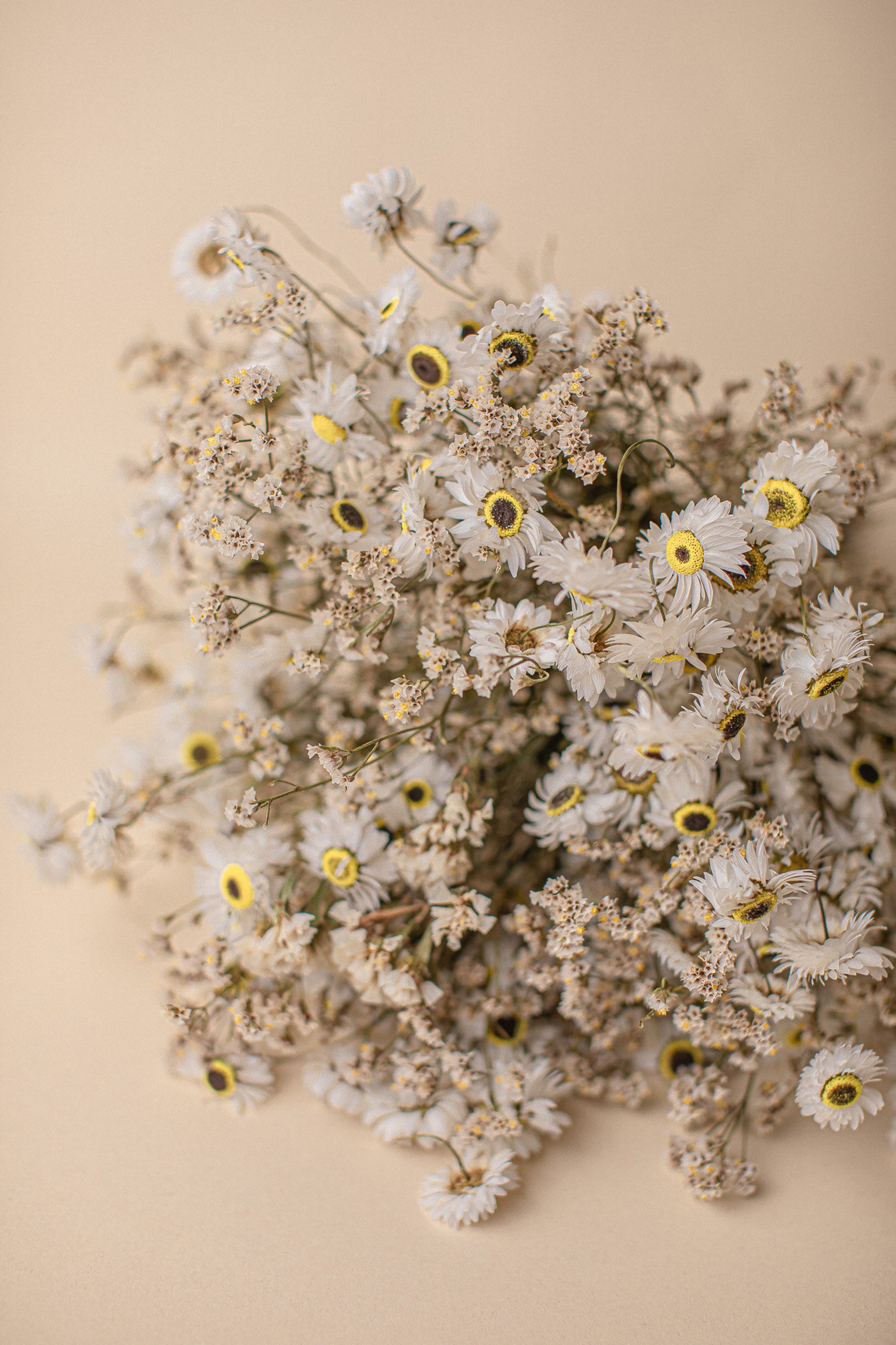 Daisy Handpicked Bouquet / Boho Meadow Bouquet / Wildflower Etsy