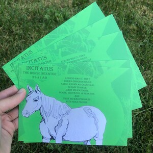Quirky historical facts postcards: horse