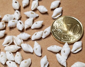 100 x Mini Schneckenhäuser gebohrt weiß 8 - 12 mm Muschel Perlen