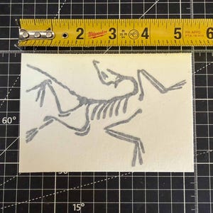 May include: A rectangular off-white sticker featuring a grey skeletal illustration of an Archaeopteryx. A yellow Milwaukee measuring tape is positioned along the top edge, indicating the sticker width is approximately 14 cm wide.