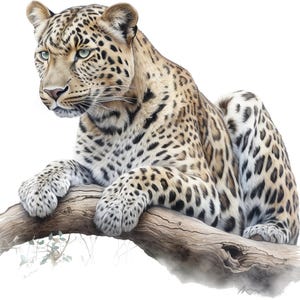 Könnte beinhalten: Detaillierte Illustration eines Leoparden, der auf einem Ast ruht. Der Leopard hat ein beiges Fell mit schwarzen Flecken, grüne Augen und liegt mit seinen Pfoten auf dem Ast. Der Ast ist braun und strukturiert.