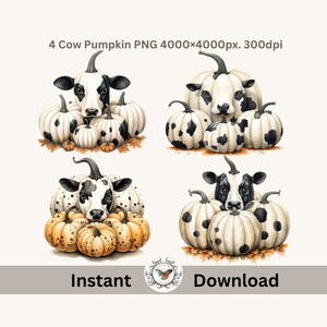 May include: Four digital illustrations of black and white cows peeking out from behind white pumpkins with black spots. The pumpkins are surrounded by smaller orange pumpkins with brown spots. The illustrations are set against a white background.