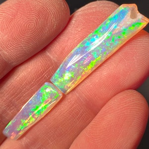 19.55ct Rare Australian Belemnite Pipe Opal Fossil Collectors Gem