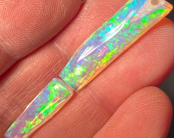 19.55ct Rare Australian Belemnite Pipe Opal Fossil Collectors Gem