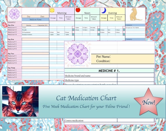 Animal Medication Chart