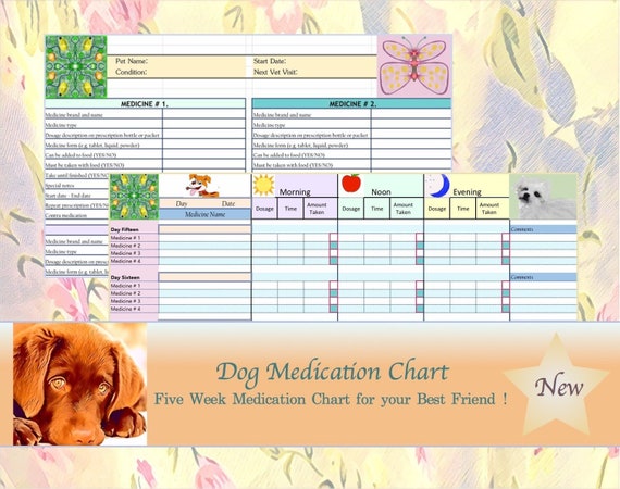 Pet Medication Chart