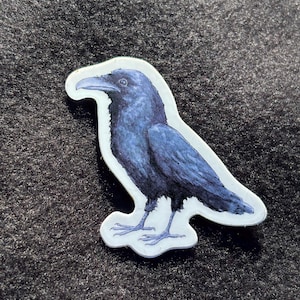 Raven sticker