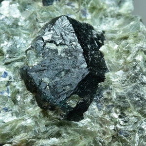 197 Gram Well Terminated Dravite Tourmaline Crystal On Green Mica Matrix