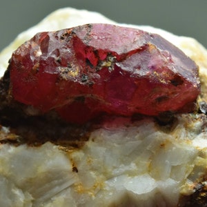 May include: A deep red ruby crystal, with a slightly rough surface, is embedded in a white and brown matrix. The ruby is a vibrant red colour and has a slightly translucent appearance.
