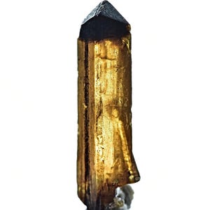 May include: A golden brown crystal with a dark brown tip. The crystal is translucent and has a pointed shape.