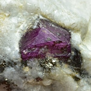 May include: A close-up of a deep purple ruby crystal embedded in a white rock matrix. The ruby has a sharp, faceted shape and is surrounded by smaller, dark gray crystals.