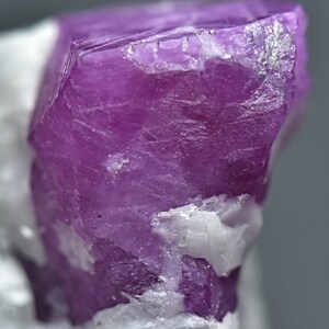 May include: A close-up of a vibrant purple ruby crystal with a rough, faceted surface. The crystal is surrounded by white, opaque mineral matrix.