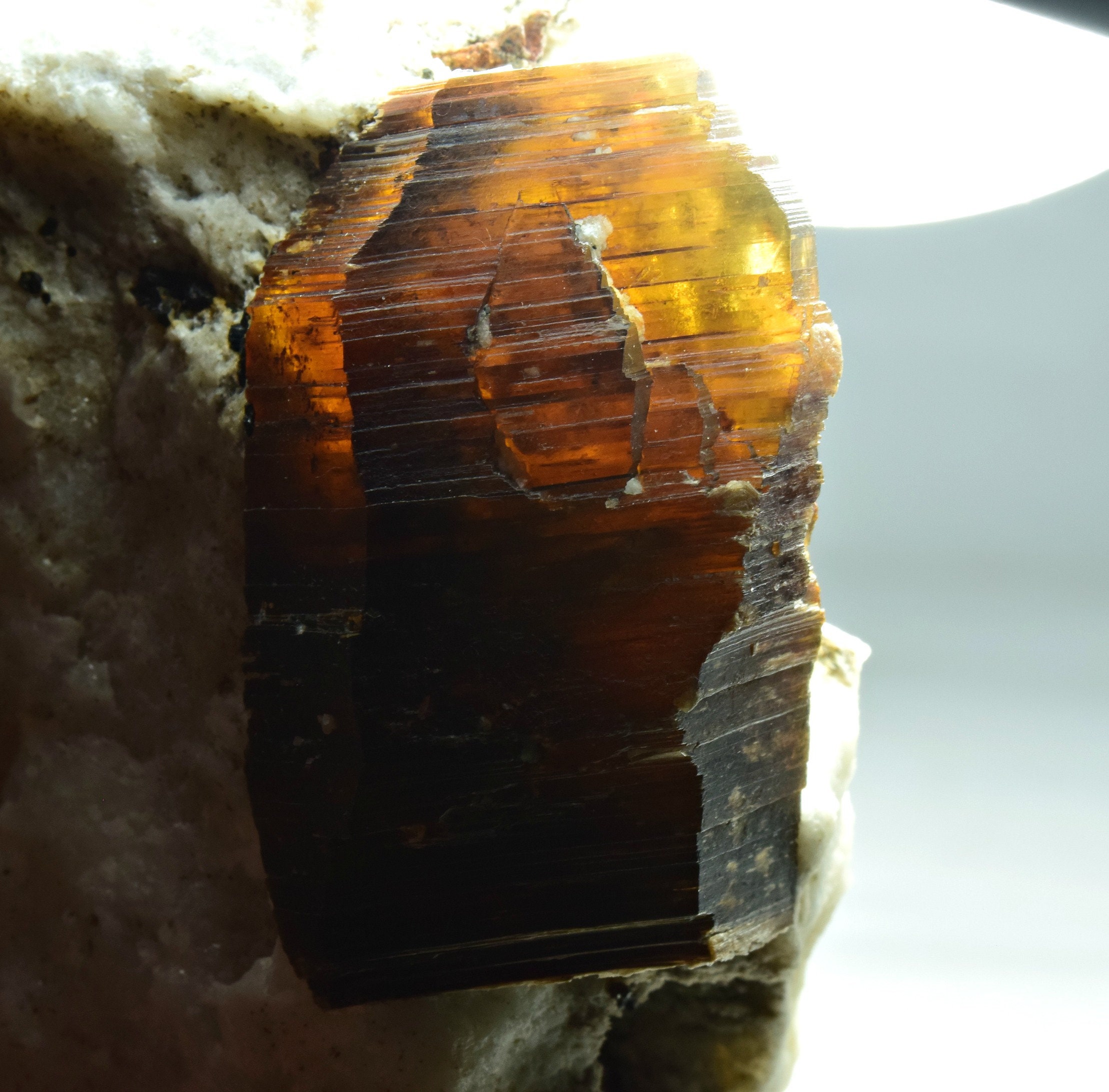 il_fullxfull.2472760068_6rq0.jpg