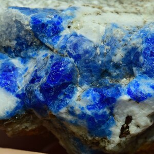 Op de afbeelding: Een ruw, natuurlijk exemplaar van blauwe lazurite met witte calciet. De lazuritekristallen zijn geclusterd in een matrix van witte calciet.