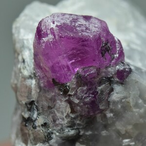 May include: A vibrant purple ruby crystal embedded in a white matrix. The crystal has a sharp, faceted shape and a glossy finish.