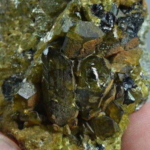 195 Karat Naturterminierte Epidot Kristalle Cluster auf Matrix