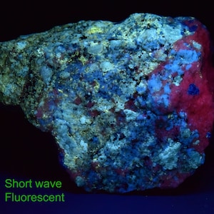May include: A close-up of a rock sample under short wave UV light. The rock is a mix of blue, red, and white colors. The text "Short wave Fluorescent" is visible at the bottom of the image.