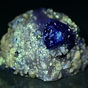May include: A small, dark blue crystal embedded in a matrix of white and light brown crystals. The crystal has a slightly iridescent sheen.