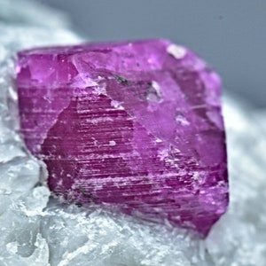 May include: A close-up of a vibrant, faceted, magenta-colored crystal. The crystal is set against a backdrop of a white, crystalline matrix. The crystal's surface has visible striations, and the overall composition highlights the natural beauty of the mineral specimen.