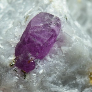 May include: A vibrant purple gemstone, likely a ruby, is embedded in a white, crystalline matrix. The gemstone has a sharp, faceted shape and is surrounded by smaller, white crystals.