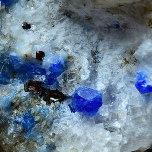 Op de afbeelding: Close-up van een rotsformatie met kleine, helderblauwe kristallen ingebed in een witte, kristallijne matrix. De kristallen worden omringd door kleinere, donkerblauwe kristallen en enkele zwarte minerale insluitsels.