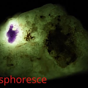 May include: A close-up of a rock with a purple mineral inside. The rock is glowing green under a black light, showing its phosphorescent properties.