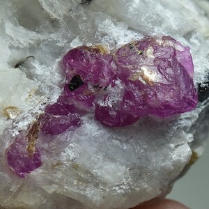 Natural Unique Ruby Crystal Combined With Pyrite & Mica On Matrix 36 Gram