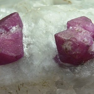 May include: Two vibrant pink ruby crystals are embedded in a white matrix. The crystals have a sharp, faceted appearance and are a beautiful example of this gemstone.
