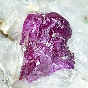 以下が含まれることがあります： 白いマトリックスに埋め込まれた、鮮やかなピンクのルビー結晶のクローズアップ。ルビーは粗いファセット面を持ち、白い結晶質の物質に囲まれています。