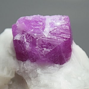 May include: A vibrant pink ruby crystal with a sharp, faceted shape. The crystal is set on a white, rough-textured matrix.