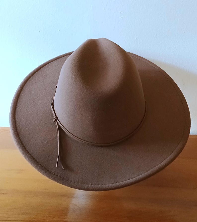 May include: A brown fedora-style hat with a wide brim and a leather band around the crown. The hat has a teardrop crown and a slightly curved brim. The hat is made of a soft material and is suitable for various occasions.