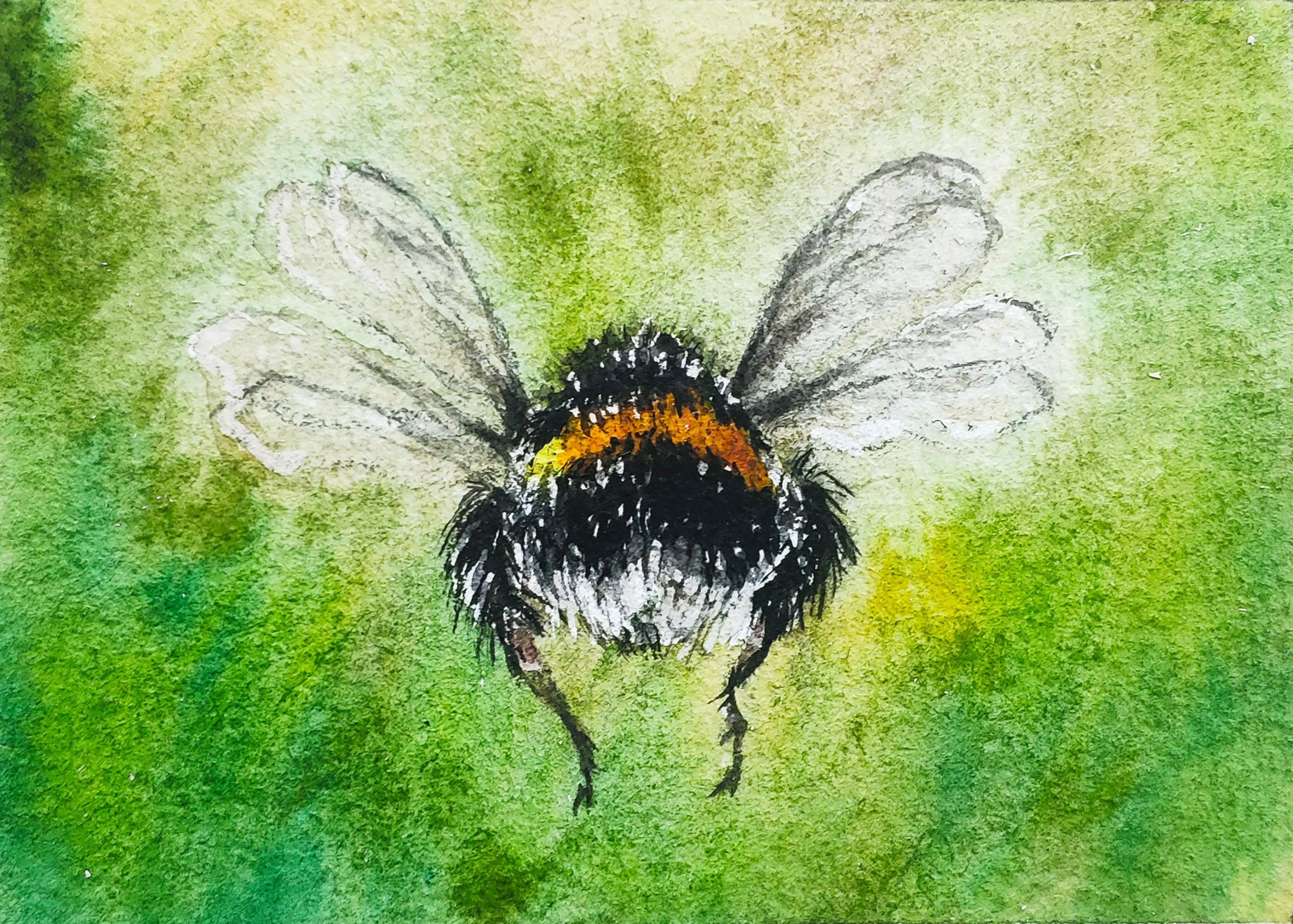 Bienen-Malerei ACEO Original Aquarell Hummel Kunstwerk kleine | Etsy