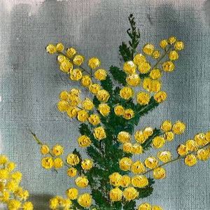 Cootamundra Wattle - Little Oil Painting - A5 Prints