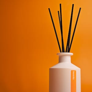 Op de afbeelding: Een witte keramische geurstokjesfles met een matte afwerking en een verticaal oranje label met het woord Serenity. Zes dunne zwarte stokjes zijn in de hals van de fles gestoken en steken omhoog tegen een effen oranje achtergrond.