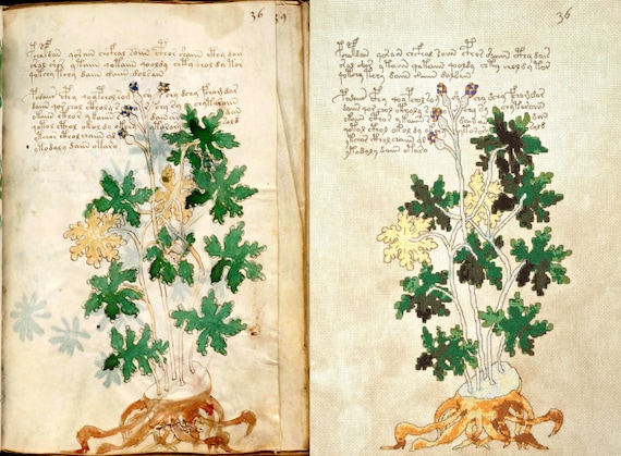 The Delightful Mysteries of 'The Voynich Manuscript'
