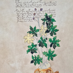 May include: A cross-stitch embroidery of a plant with white stems, green leaves, and yellow flowers. The plant has a large, brown root system. The embroidery is surrounded by text in a cursive font.